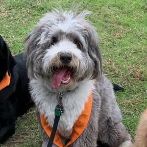 Fundraising Page: Cameron Bryce